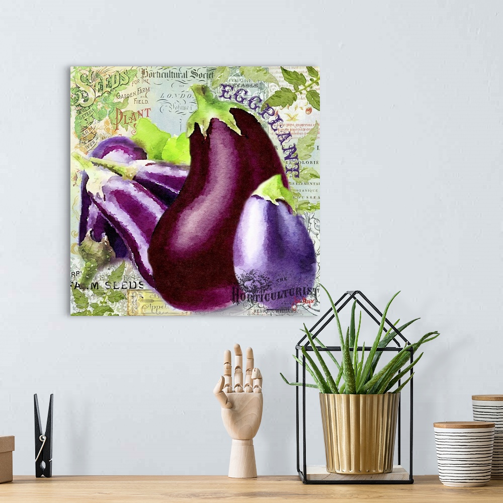 A bohemian room featuring Green Grocer Eggplant