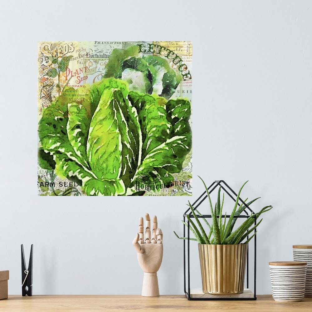 A bohemian room featuring Green Grocer Lettuce
