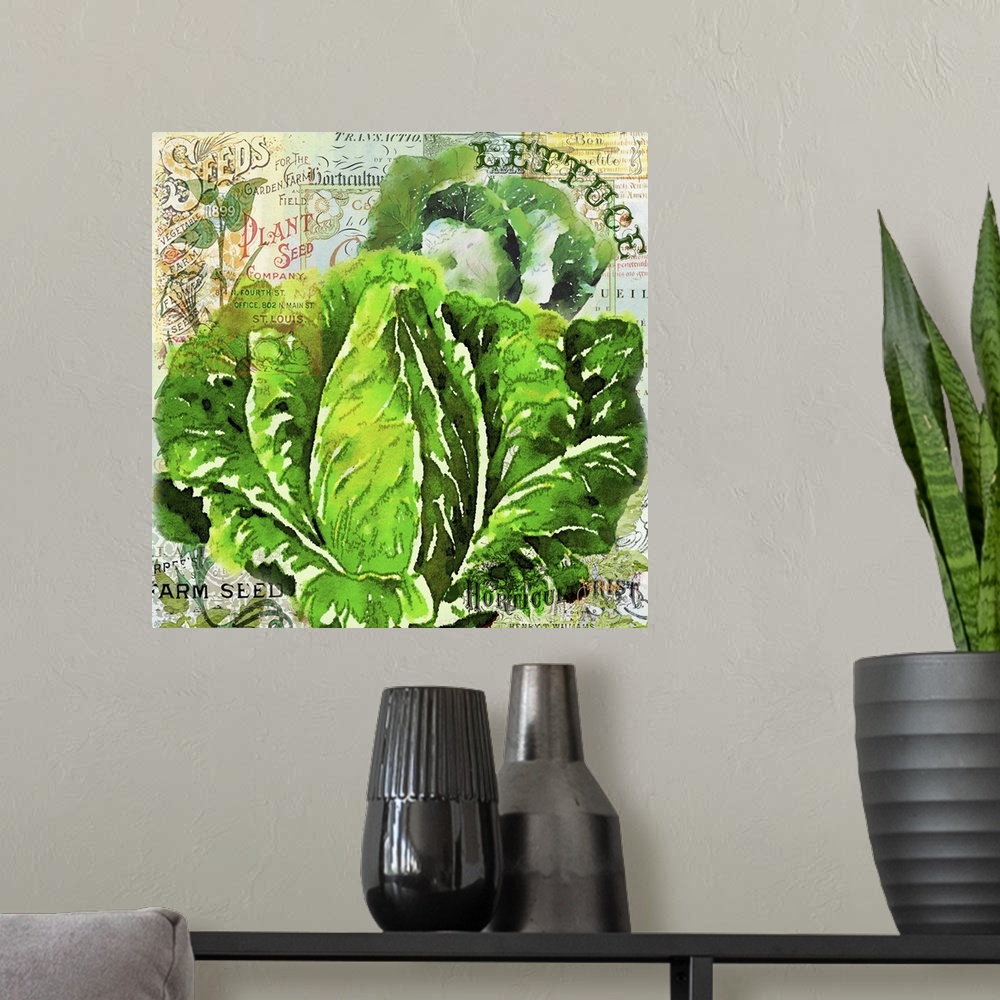A modern room featuring Green Grocer Lettuce