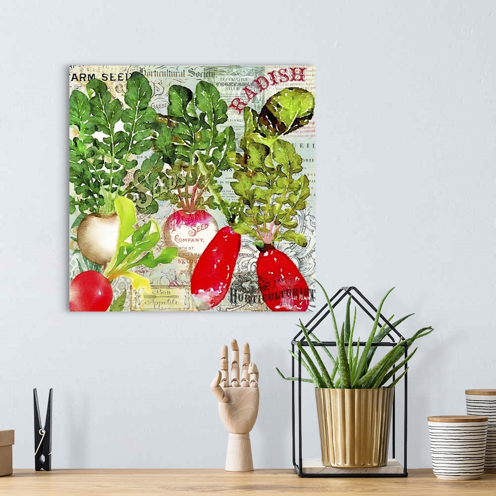 A bohemian room featuring Green Grocer Radish