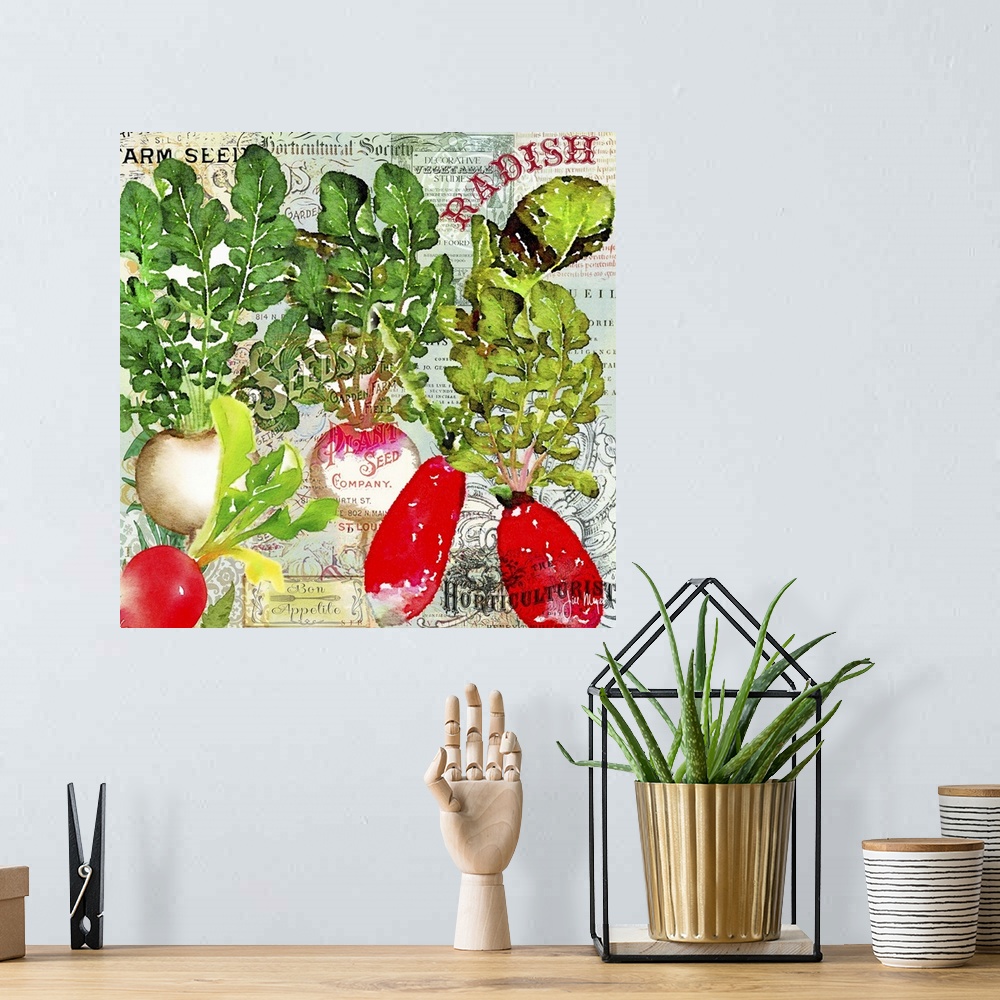 A bohemian room featuring Green Grocer Radish