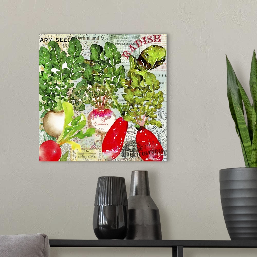 A modern room featuring Green Grocer Radish