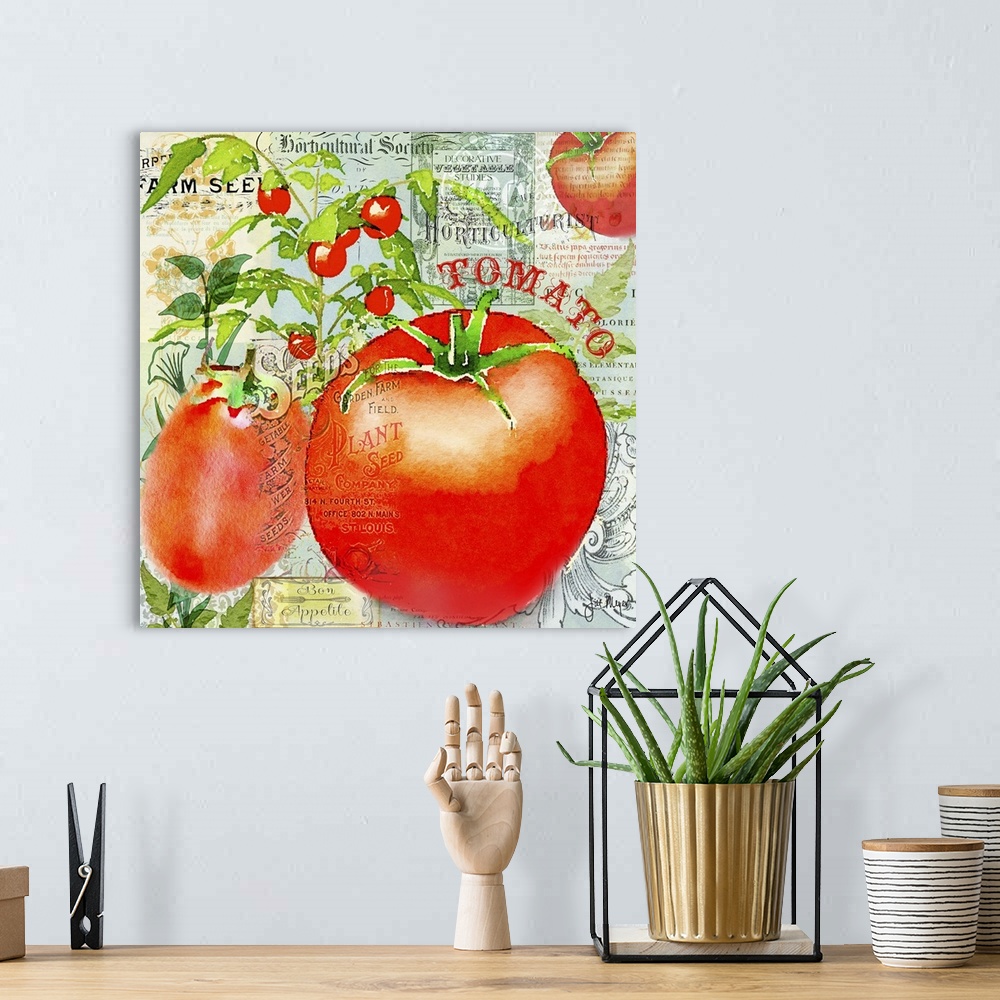 A bohemian room featuring Green Grocer Tomato