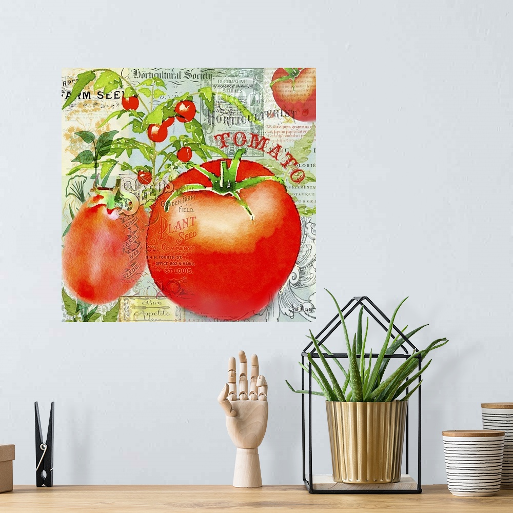 A bohemian room featuring Green Grocer Tomato