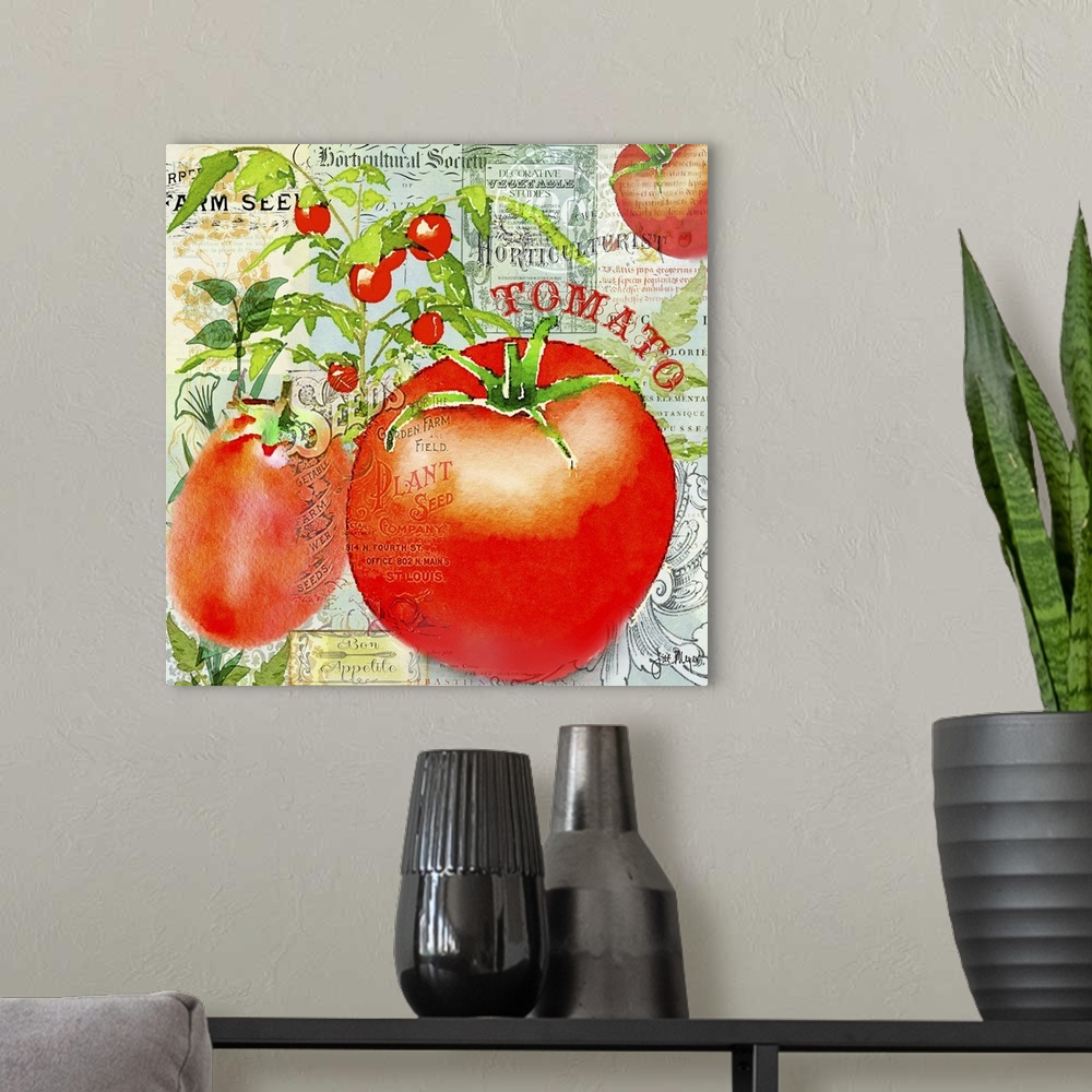 A modern room featuring Green Grocer Tomato