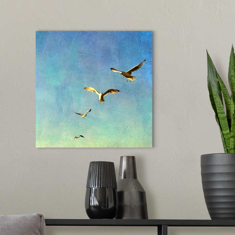 A modern room featuring Four sea gulls flying in a row in the morning light.