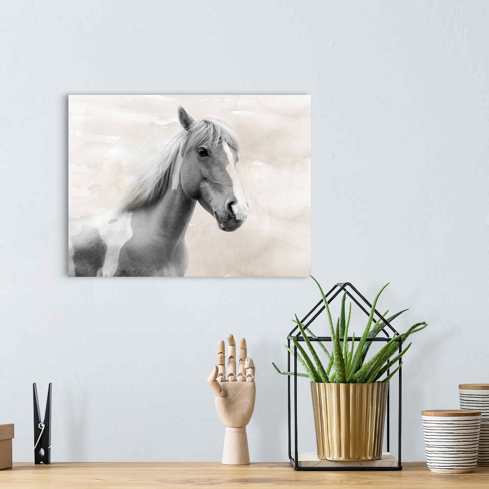 A bohemian room featuring Horse Sepia