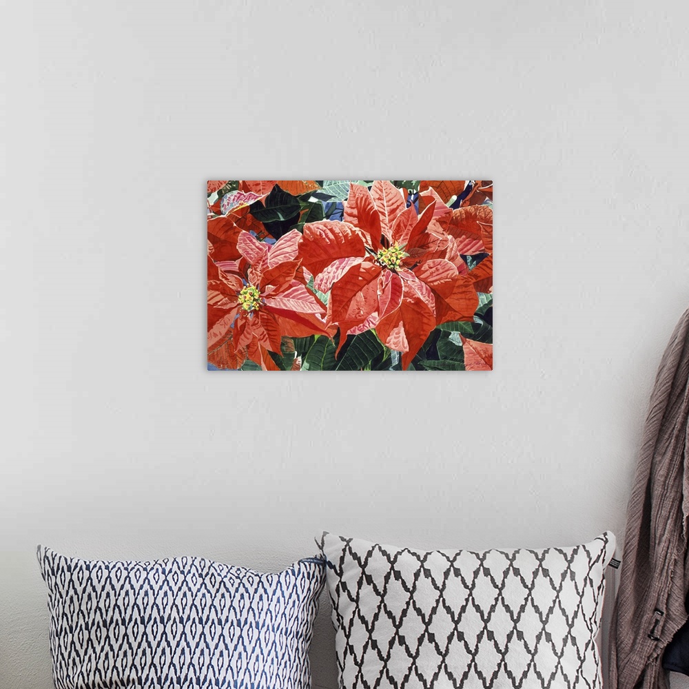 A bohemian room featuring Painting of large poinsettia flowers with broad red petals.