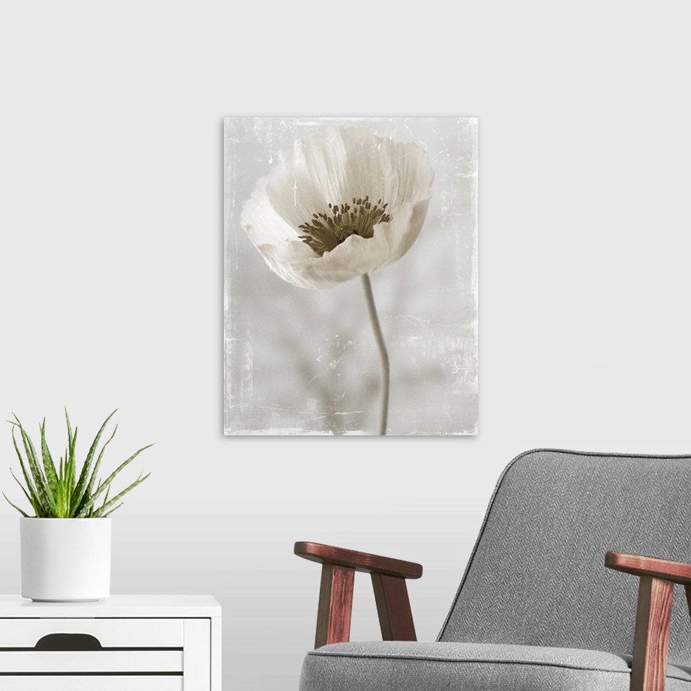 A modern room featuring Image of a single flower in neutral tones with a distressed overlay.