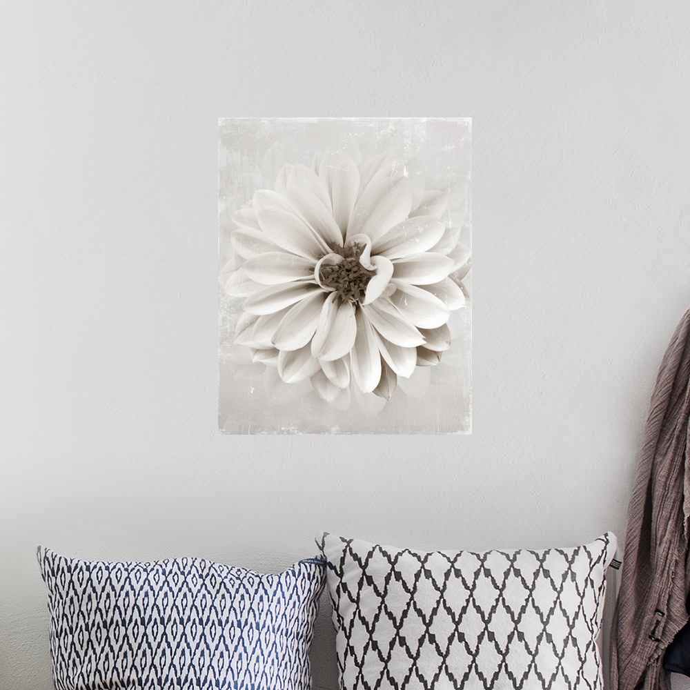 A bohemian room featuring Image of a single flower in neutral tones with a distressed overlay.