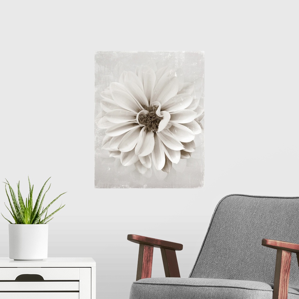 A modern room featuring Image of a single flower in neutral tones with a distressed overlay.