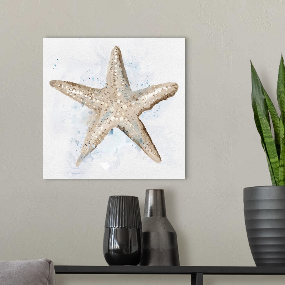 A modern room featuring Starfish In Beige