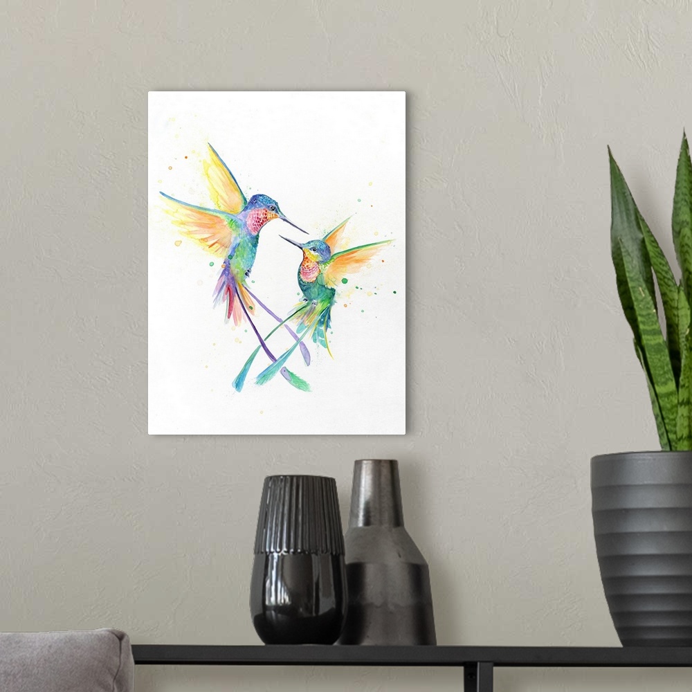 A modern room featuring Hummingbirds