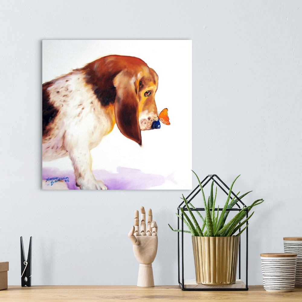 A bohemian room featuring Square painting of a basset hound with an orange butterfly on its nose.