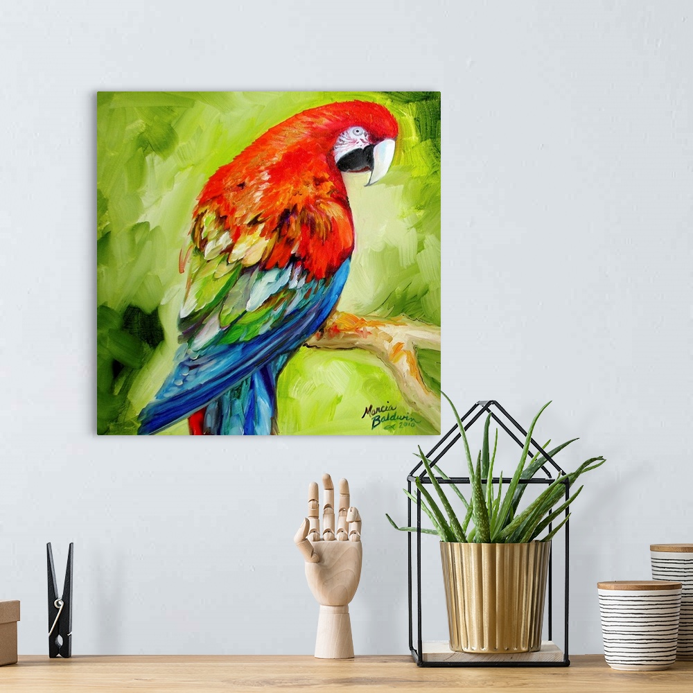 A bohemian room featuring A macaw parrot in tropical theme color palette.