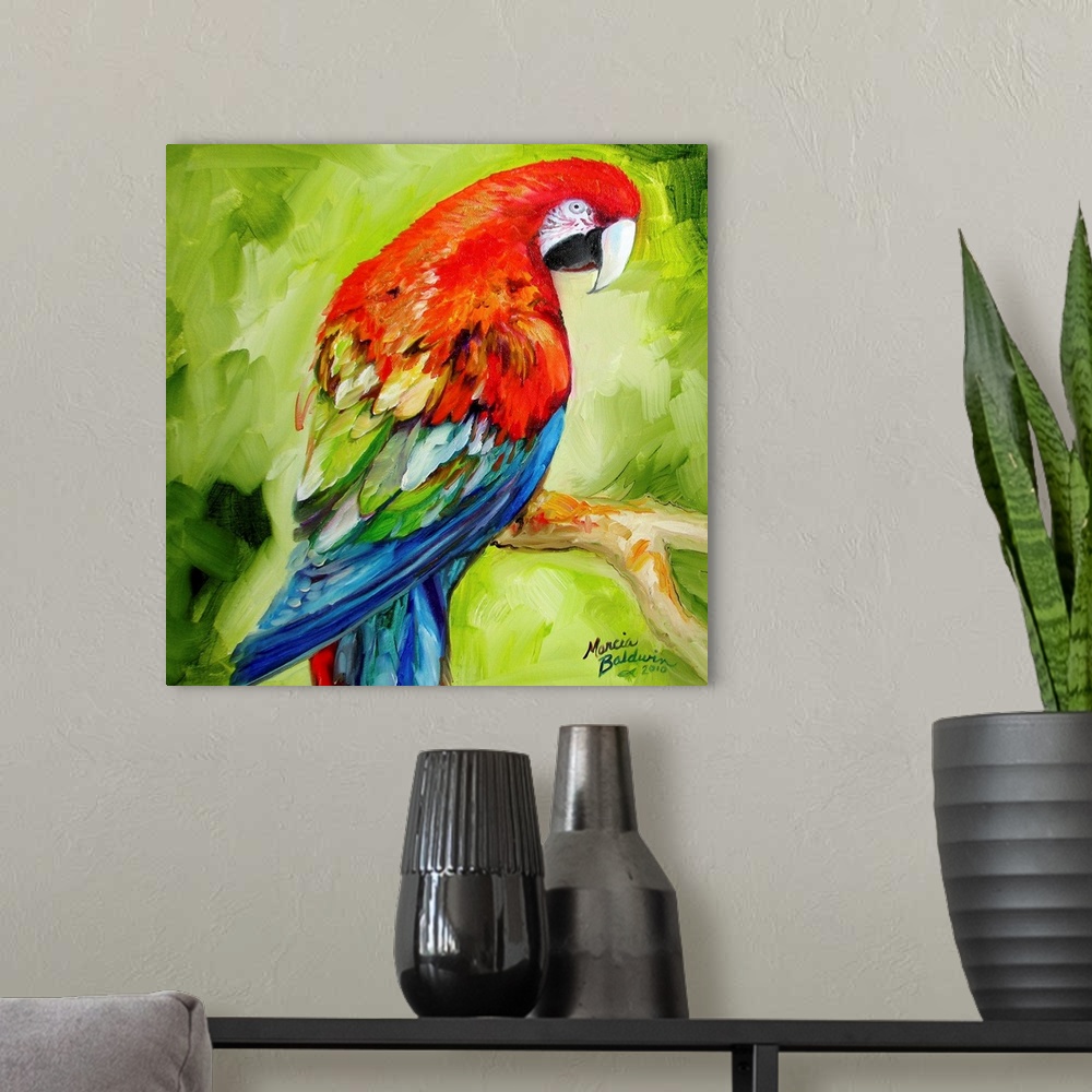 A modern room featuring A macaw parrot in tropical theme color palette.