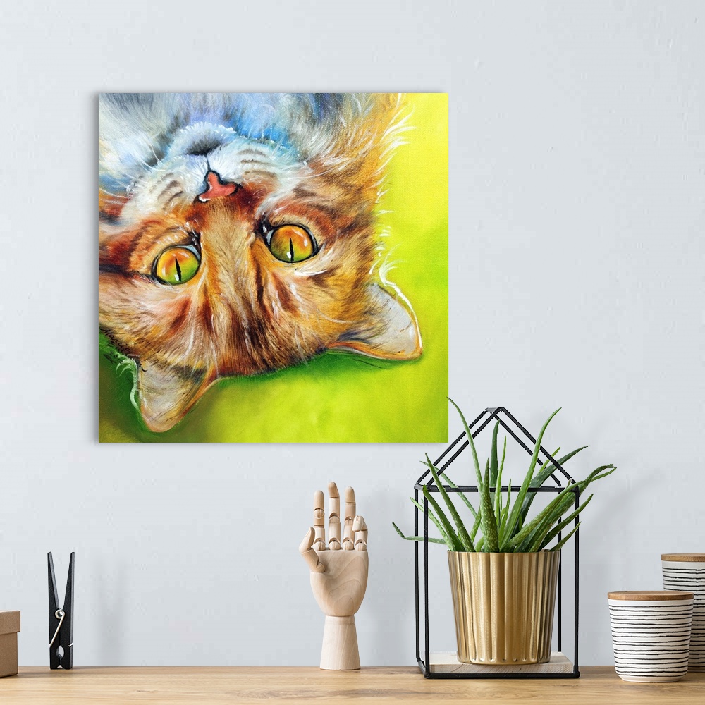 A bohemian room featuring Square painting of an orange striped cat laying upside down on a bright green and yellow background.