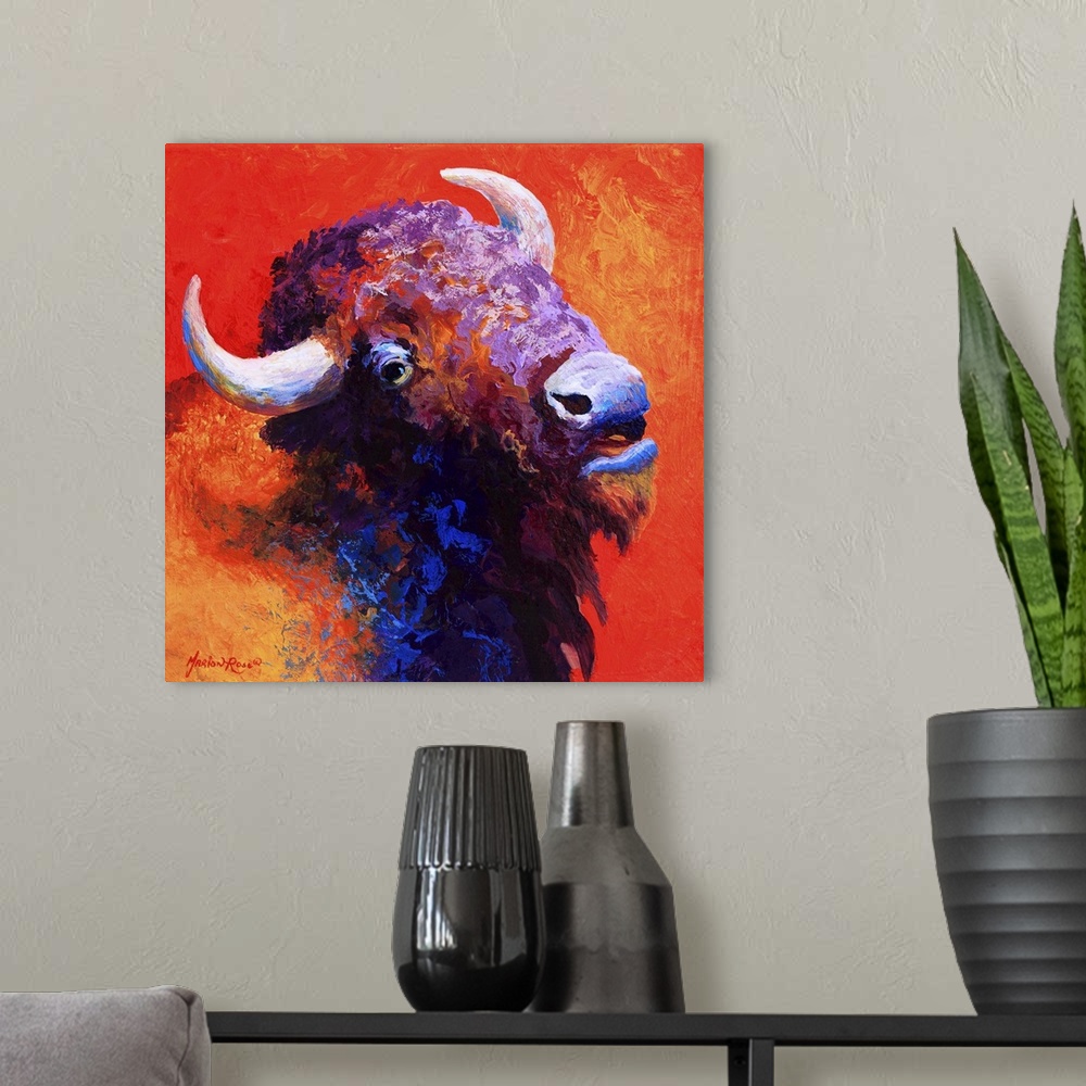 A modern room featuring Bison Attitude