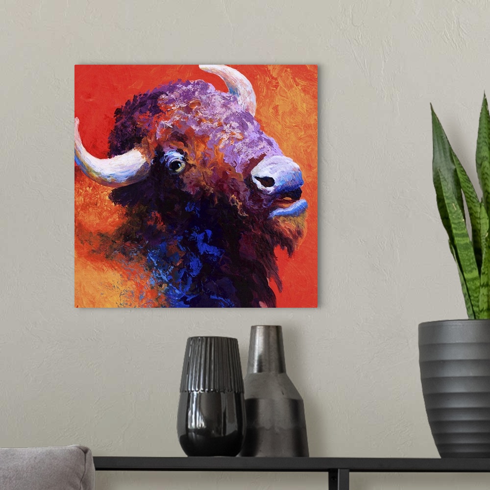 A modern room featuring Bison Attitude