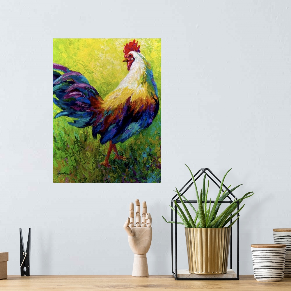 A bohemian room featuring CEO Rooster