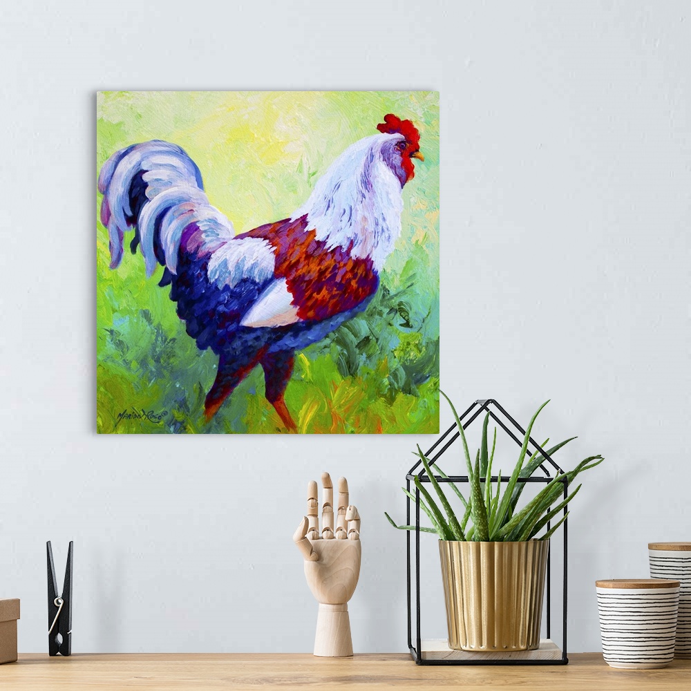A bohemian room featuring Full of Himself Rooster