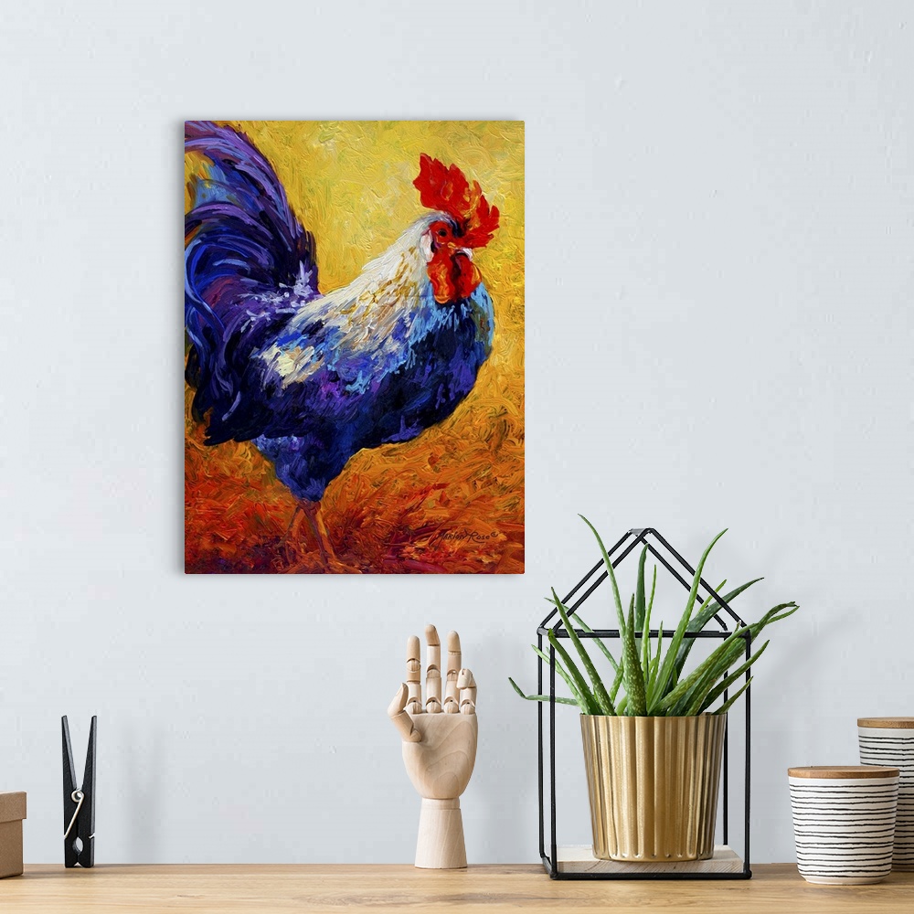A bohemian room featuring Rooster Indy