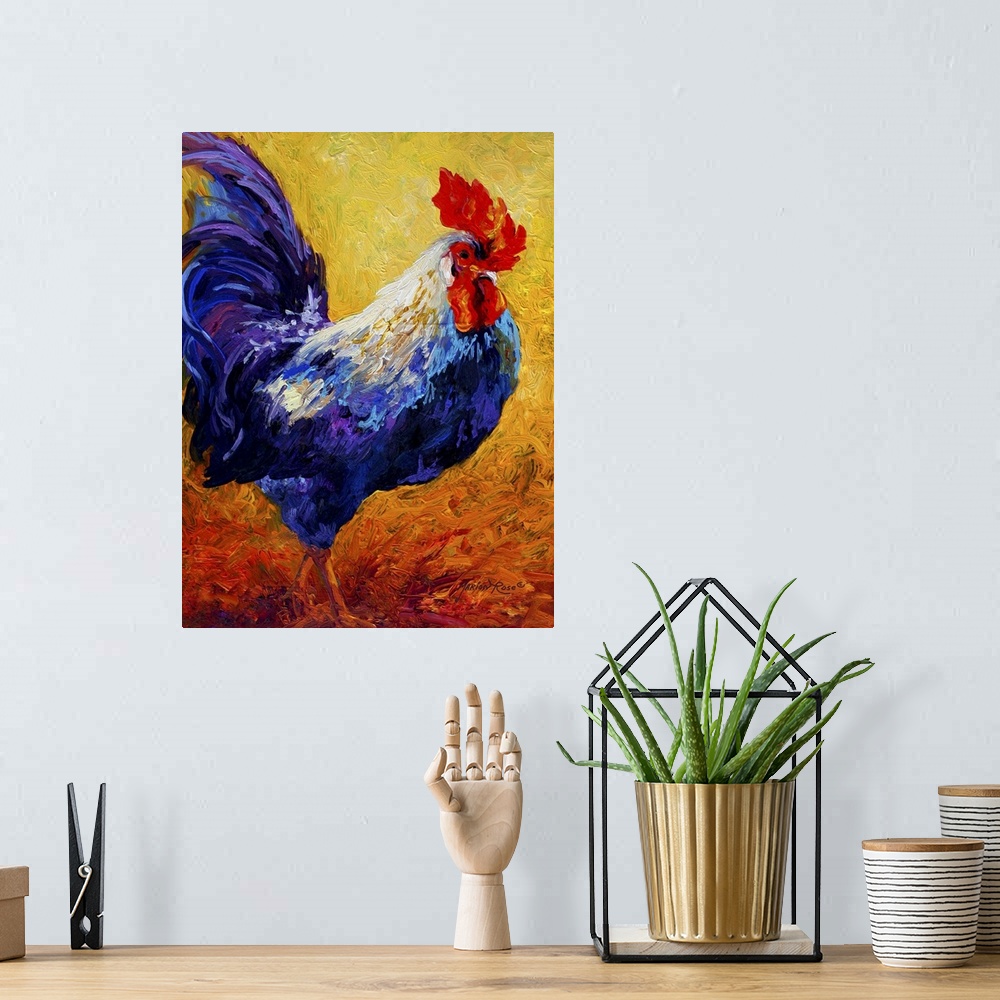 A bohemian room featuring Rooster Indy