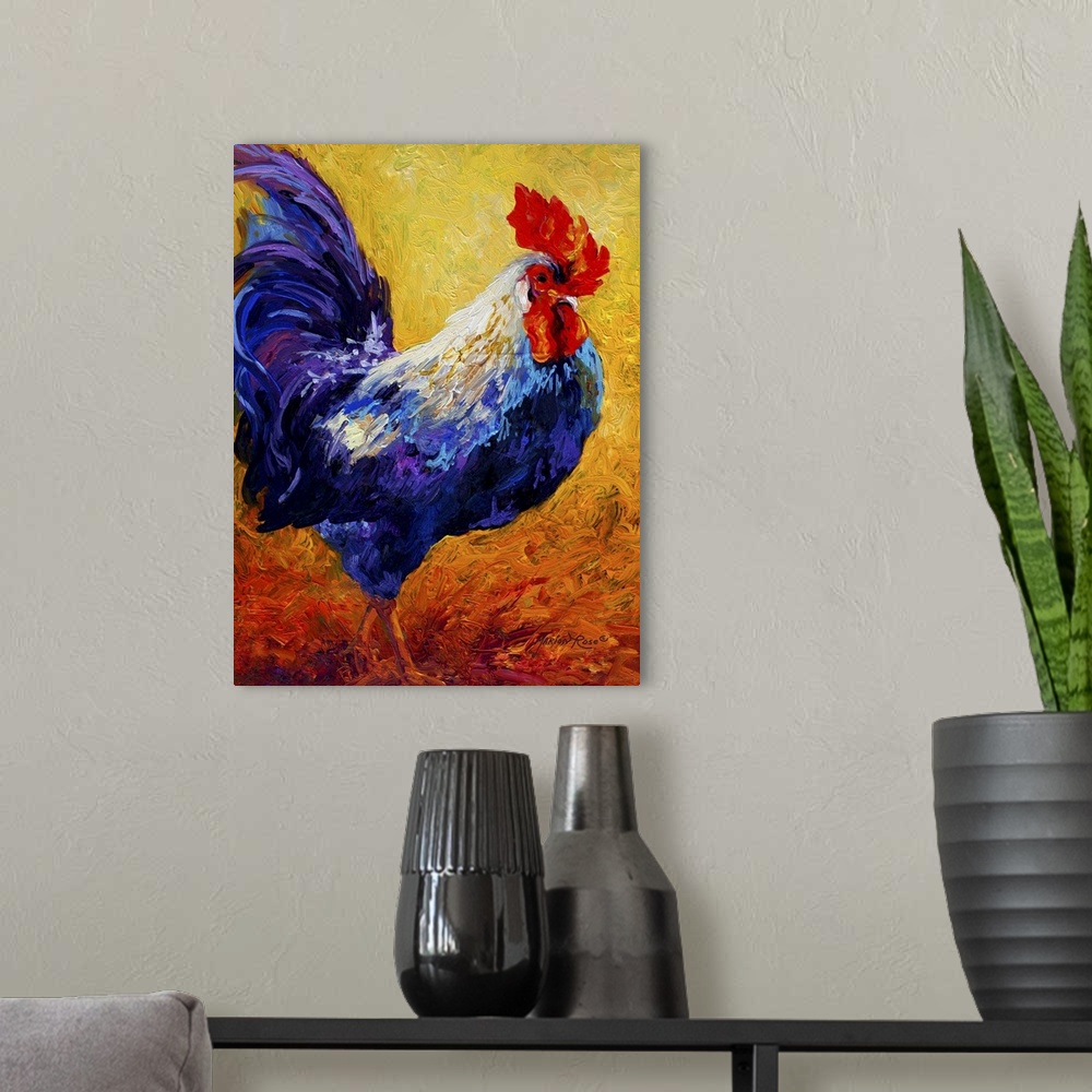 A modern room featuring Rooster Indy