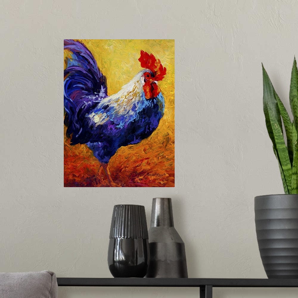 A modern room featuring Rooster Indy