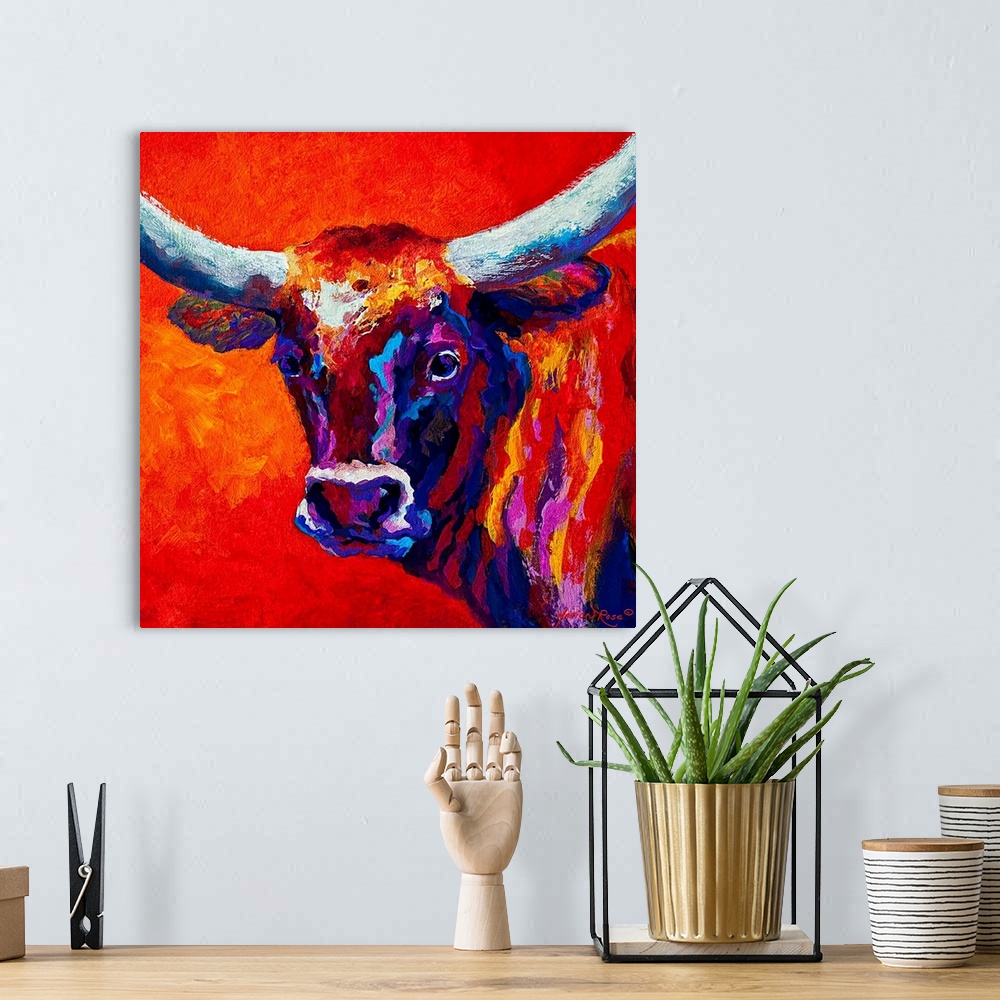 A bohemian room featuring Steer