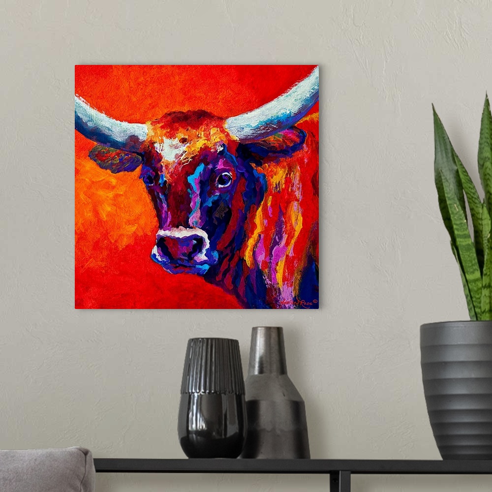 A modern room featuring Steer