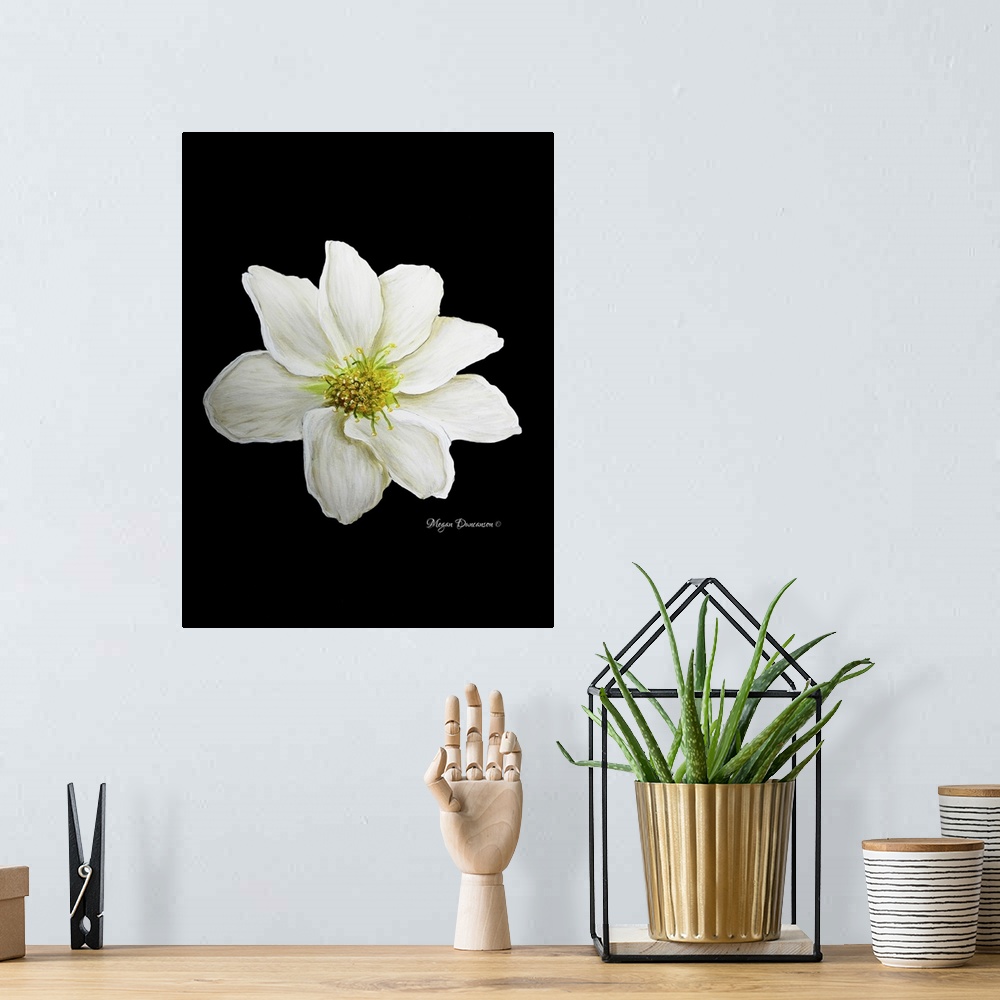 A bohemian room featuring White Flower I