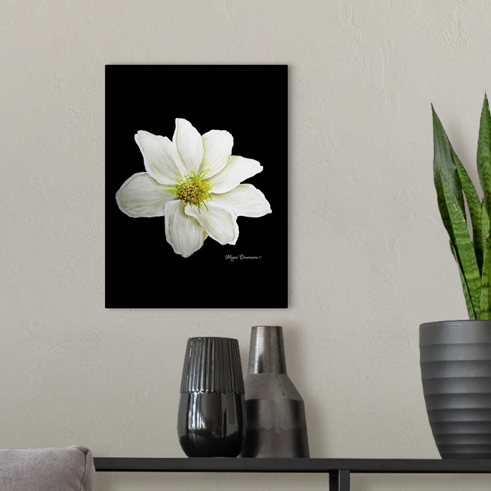 A modern room featuring White Flower I