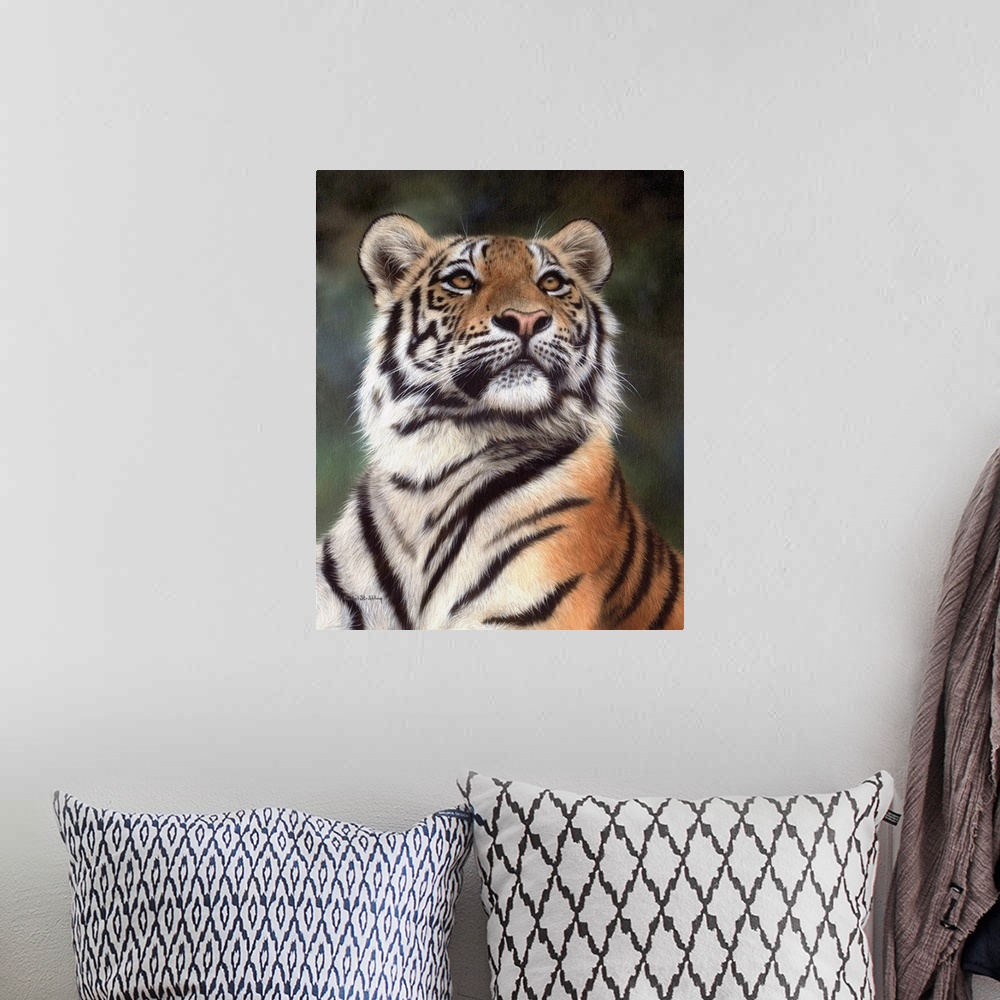 A bohemian room featuring Portrait of an Amur tiger looking up.