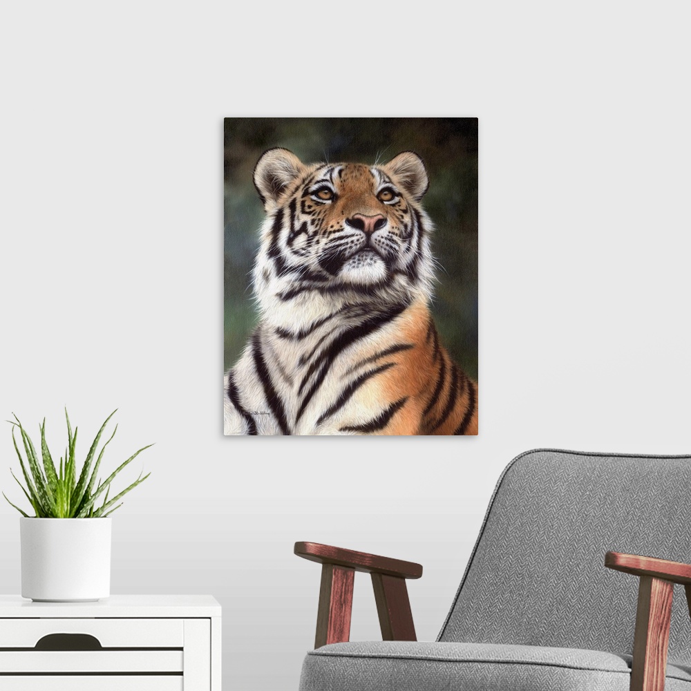 A modern room featuring Portrait of an Amur tiger looking up.