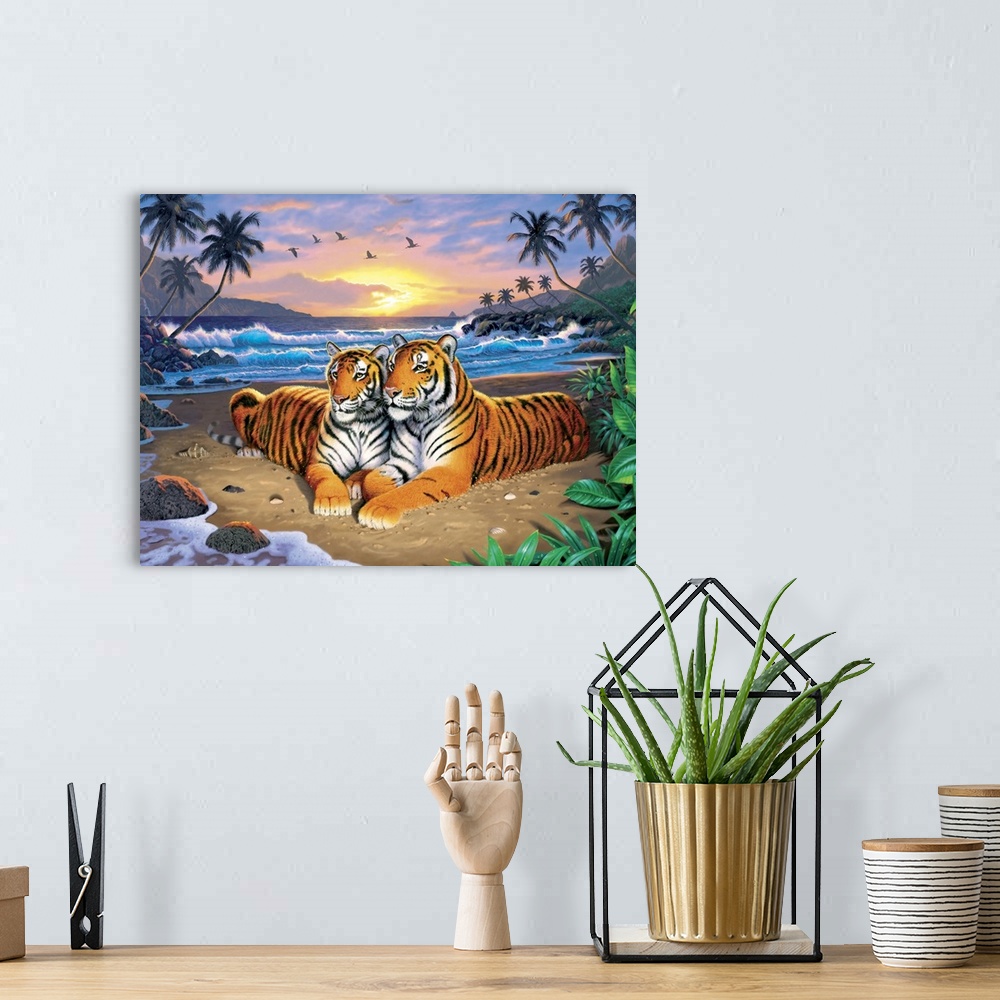 A bohemian room featuring Beach Tigers