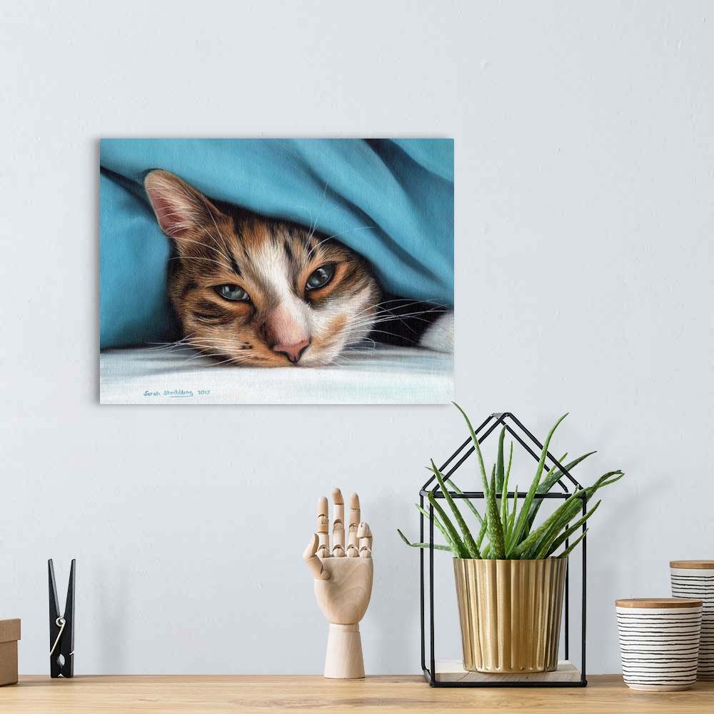 A bohemian room featuring Oil painting on canvas of a domestic cat under a blanket.