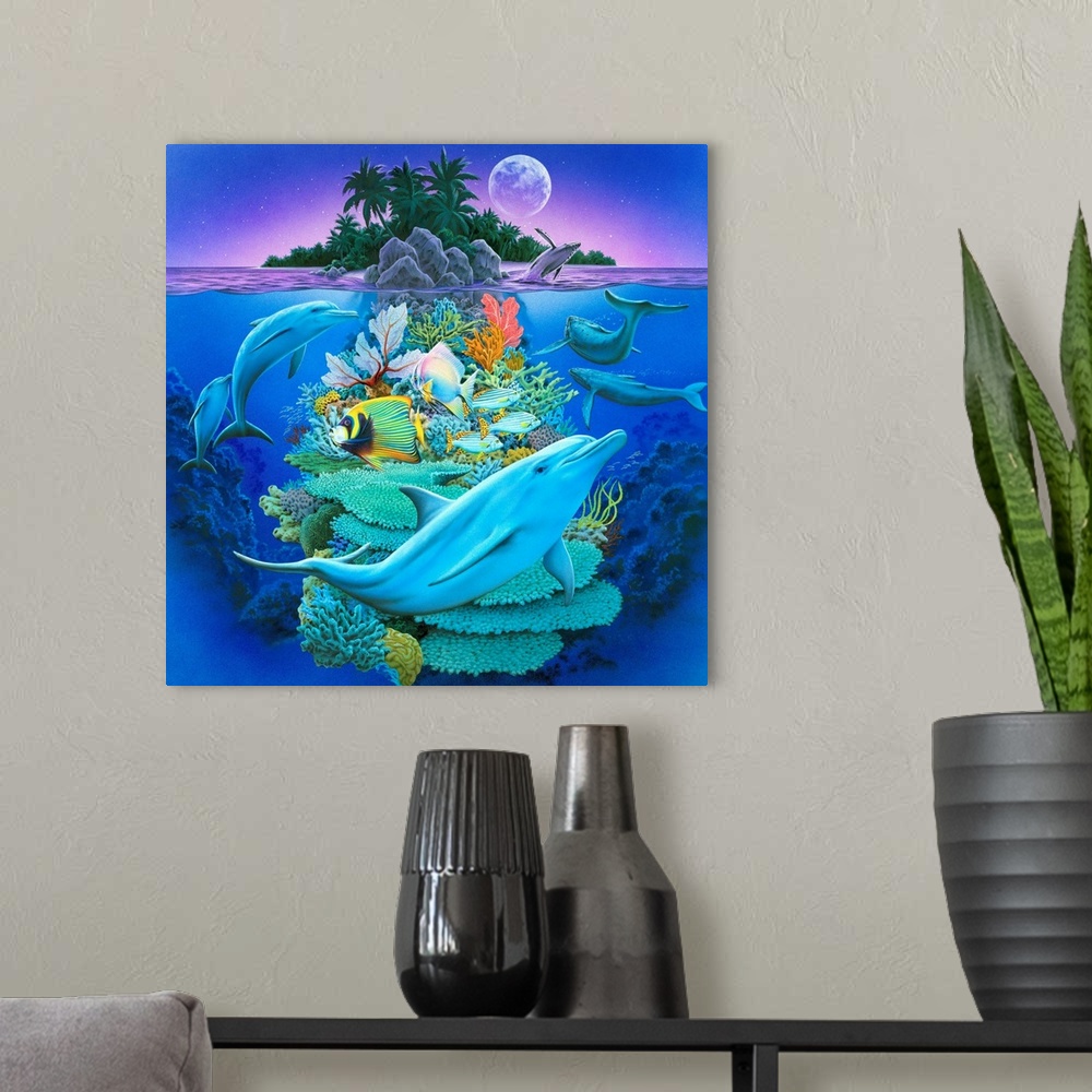 A modern room featuring Dolphin Isle