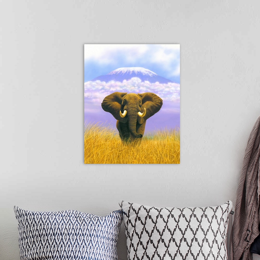 A bohemian room featuring Elephant At Table Mountain