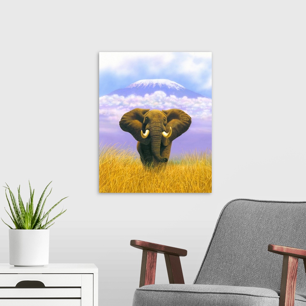 A modern room featuring Elephant At Table Mountain