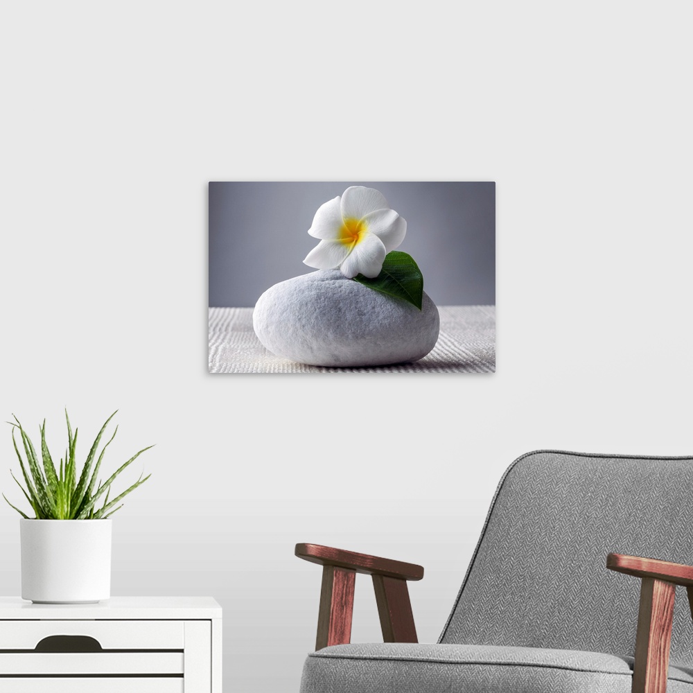A modern room featuring A beautiful white flower with a yellow center and one green leaf  is placed on top of a large whi...
