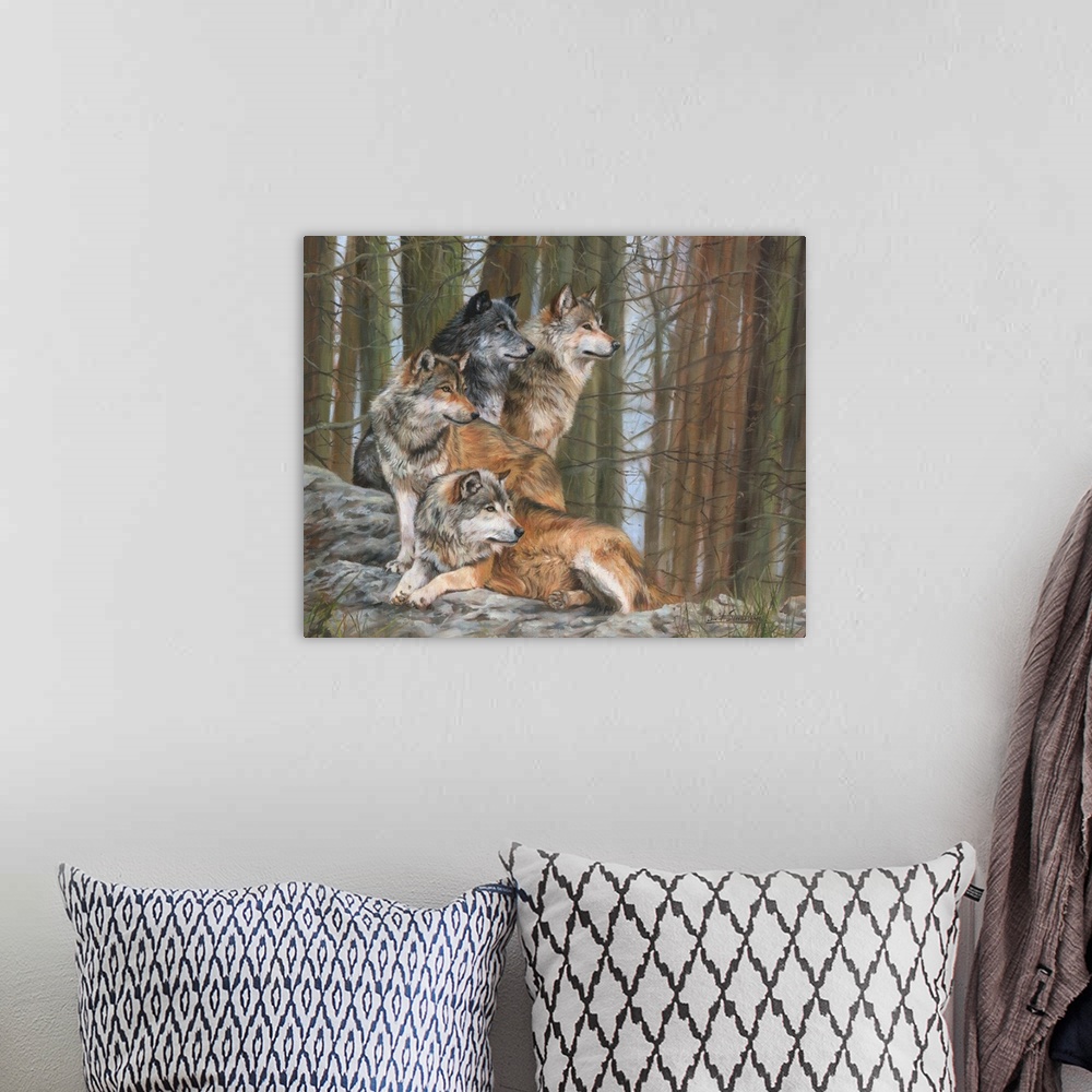 A bohemian room featuring Four Grey Wolves (one in dark phase) together in forest.
