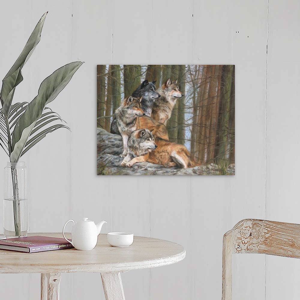 A farmhouse room featuring Four Grey Wolves (one in dark phase) together in forest.