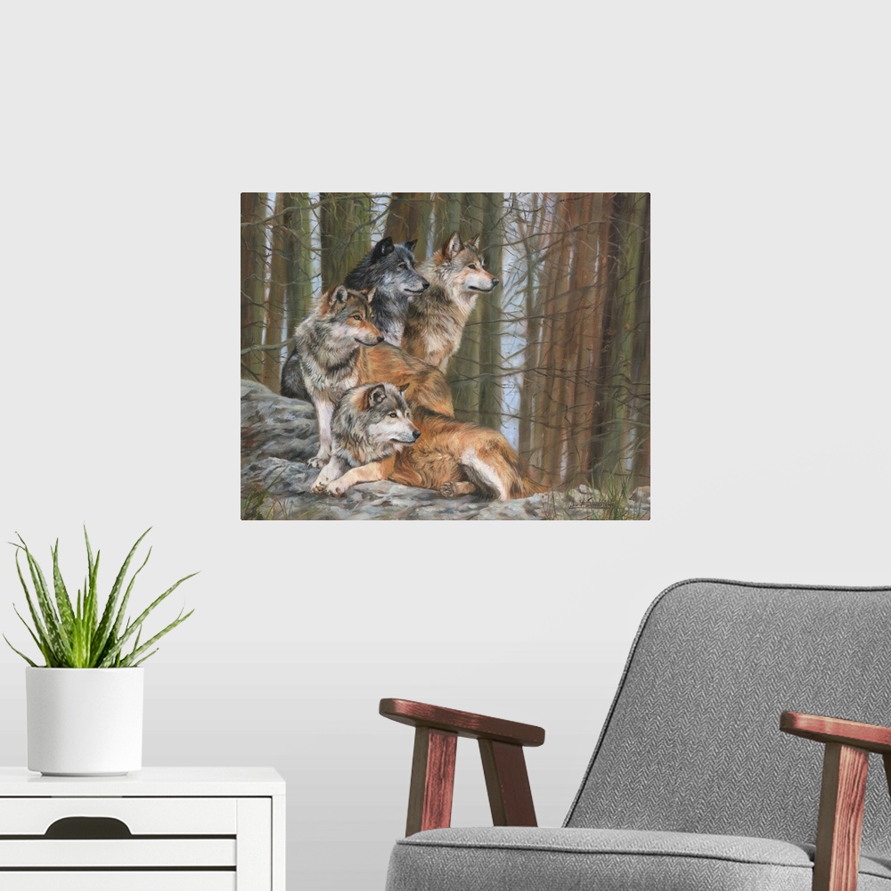 A modern room featuring Four Grey Wolves (one in dark phase) together in forest.
