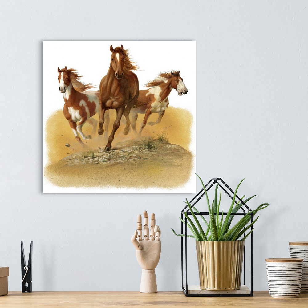 A bohemian room featuring Contemporary painting of three horse in a gallop kicking up dust and dirt.