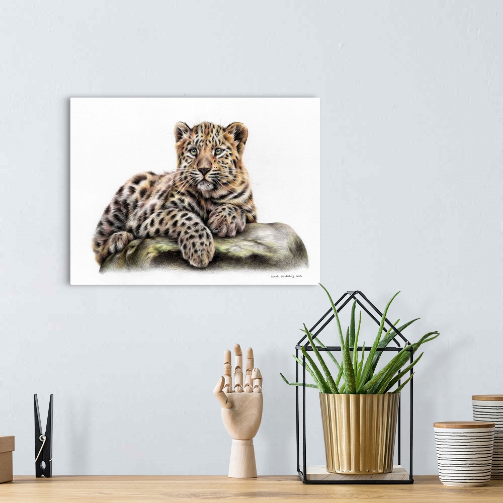 A bohemian room featuring Leopard cub drawn in colored pencils.