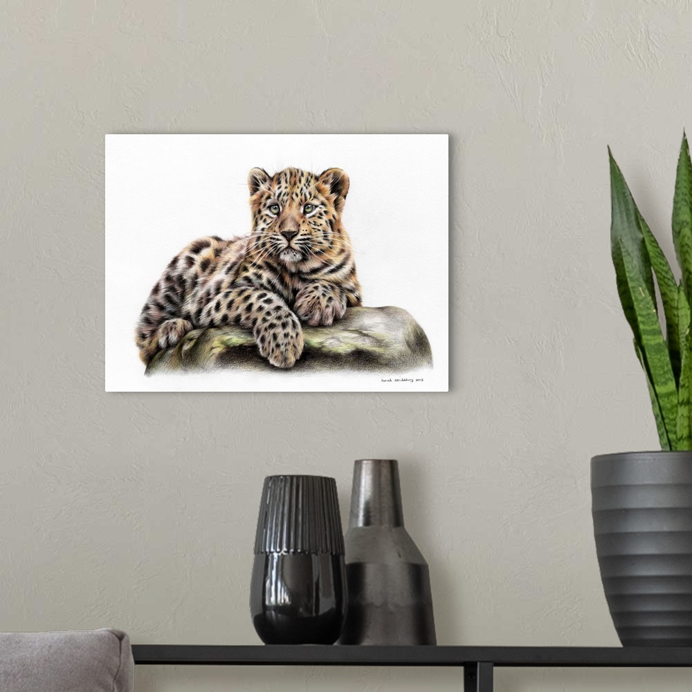 A modern room featuring Leopard cub drawn in colored pencils.