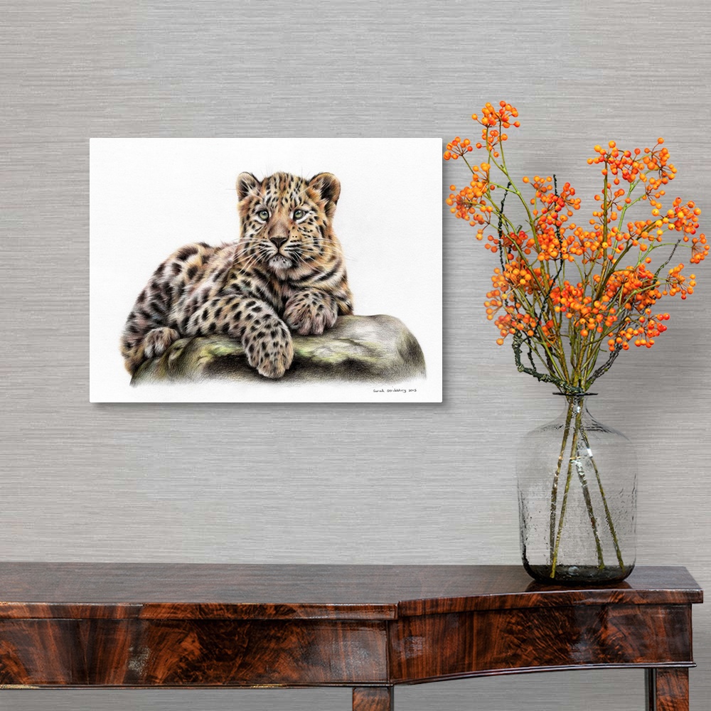 A traditional room featuring Leopard cub drawn in colored pencils.