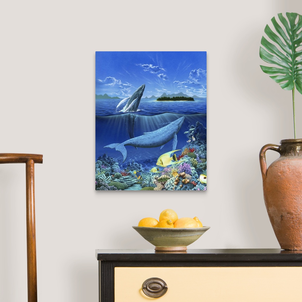 A traditional room featuring Living Ocean - Whales