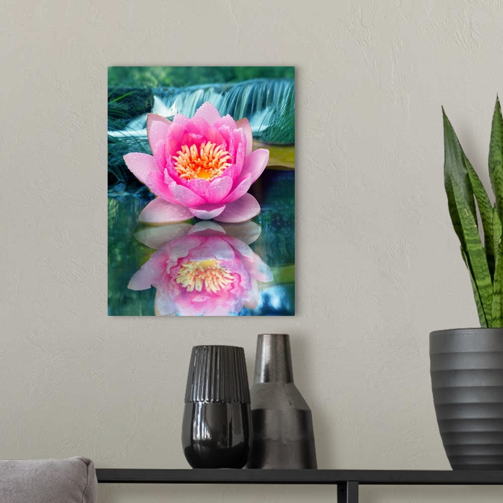A modern room featuring Reflecting photograph of a pink lotus flower with a waterfall in the background.